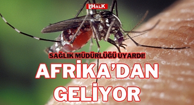 AFRİKA'DAN GELİYOR!