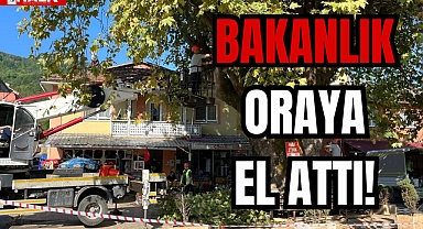 BAKANLIK ORAYA EL ATTI!