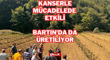 BARTIN'DA DA ÜRETİLİYOR