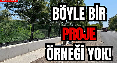 BÖYLE BİR PROJE ÖRNEĞİ YOK!