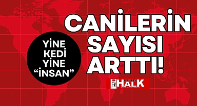 CANİLERİN SAYISI ARTTI!