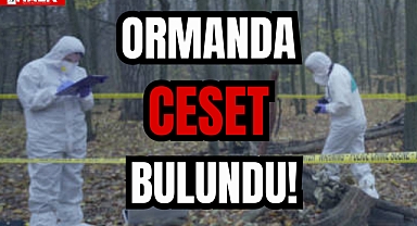 CESET BULUNDU!