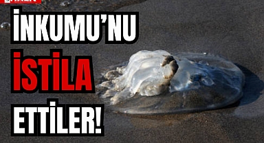İNKUMU'NU İSTİLA ETTİLER!