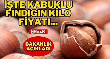 KABUKLU FINDIĞIN KİLO FİYATI