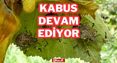 KABUS DEVAM EDİYOR!