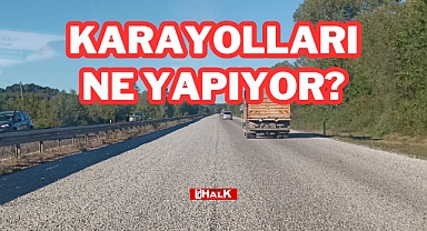 KARAYOLLARI NE YAPIYOR?
