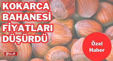 KOKARCA BAHANESİ FİYATLARI DÜŞÜRDÜ