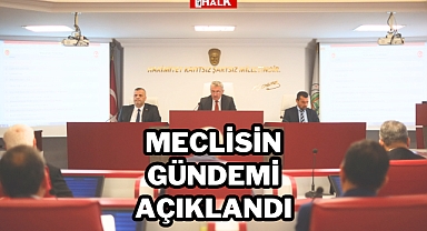 MECLİSİN GÜNDEMİ AÇIKLANDI