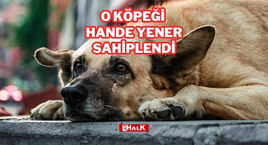 O KÖPEĞİ HANDE YENER SAHİPLENDİ