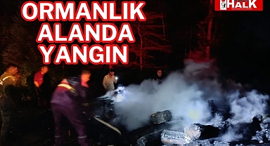 Ormanlık alanda yangın
