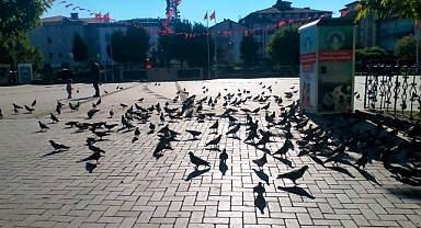 Simitçiler Yalnız Bırakmıyor