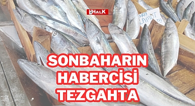 SONBAHARIN HABERCİSİ TEZGAHTA