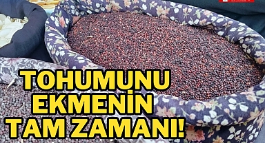 TOHUMUNU EKMENİN TAM ZAMANI!