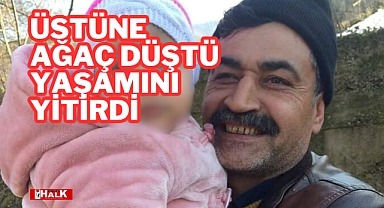 Üstünü ağaç düştü, yaşamanı yitirdi
