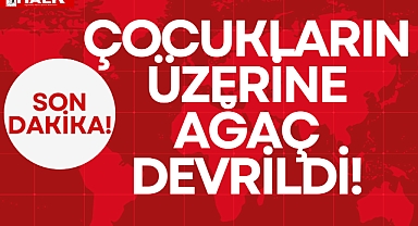 ÜZERLERİNE AĞAÇ DEVRİLDİ!