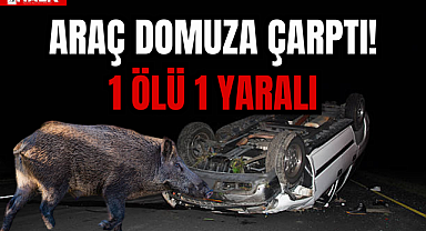 ARAÇ DOMUZA ÇARPTI!