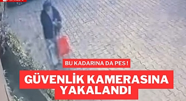 Bu kadarınada pes !