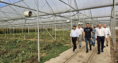 Dev Seralara Ziyaret