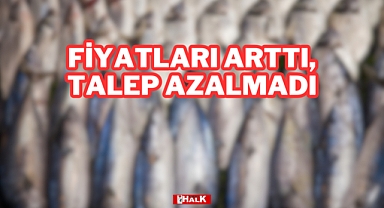 Fiyatları Arttı, Talep Azalmadı