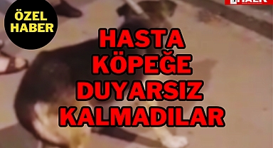 Hasta Köpeğe Duyarsız Kalmadılar