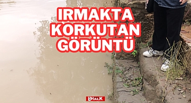 Irmakta Korkutan Görüntü