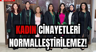 KADIN CİNAYETLERİ NORMALLEŞTİRİLEMEZ!
