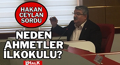 NEDEN AHMETLER İLKOKULU?
