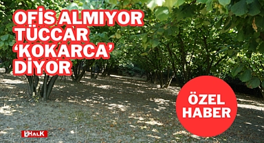 OFİS ALMIYOR, TÜCCAR ‘KOKARCA’ DİYOR