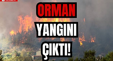 ORMAN YANGINI ÇIKTI!