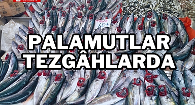Palamutlar Tezgâhlarda