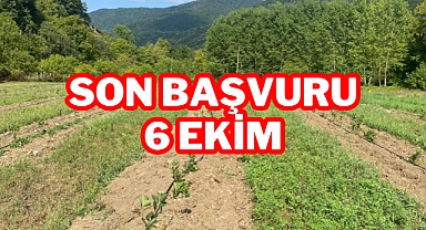 SON BAŞVURU 6 EKİM