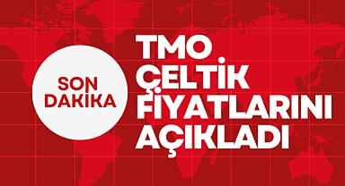 TMO Çeltik Alım Fiyatlarını Açıkladı
