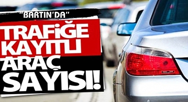 Trafiğe kayıtlı araç sayısı