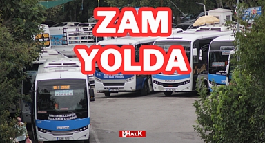Zam Yolda