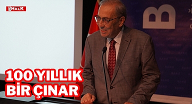 100 Yıllık Bir Çınar