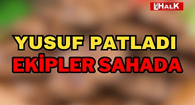 81 İlde Sıkı Denetim
