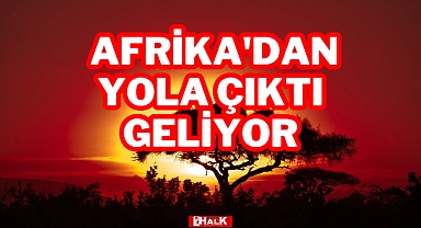 Afrika'dan Yola Çıktı, Geliyor