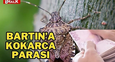 Bartın'a Kokarca Parası