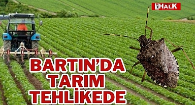 Bartın'da Tarım Tehlikede