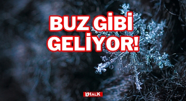 Buz Gibi Geliyor!