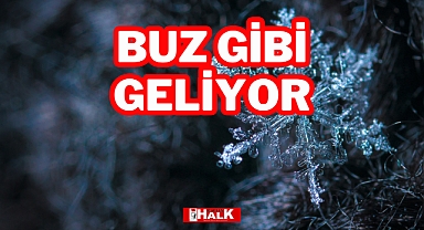 Buz Gibi Geliyor