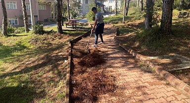 ÇAMLIK PARKTA TEMİZLİK ÇALIŞMASI