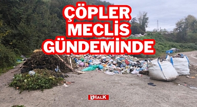 Çöpler Meclisin Gündeminde