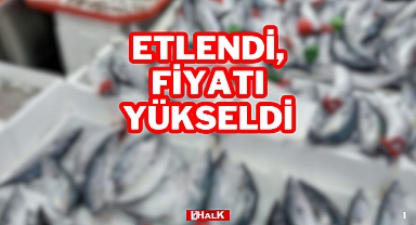 Etlendi, Fiyatı Yükseldi