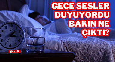 Gece Sesler Duyuyordu, Bakın Ne Çıktı?