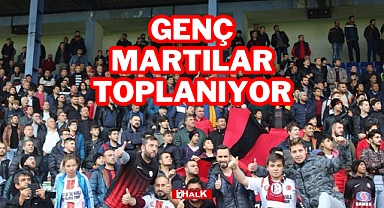 Genç Martılar Toplanıyor