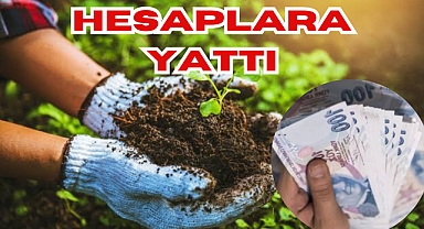 Hesaplara Yattı
