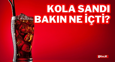 KOLA SANDI, BAKIN NE İÇTİ?
