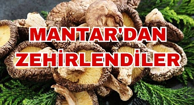 Mantar zehirledi
