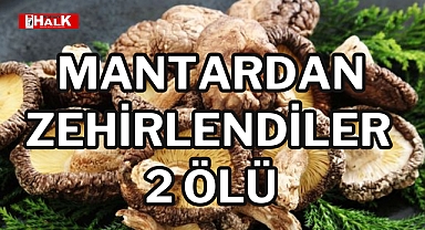 Mantardan zehirlendiler